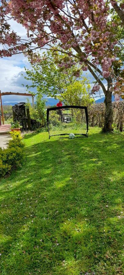 Annaswood B&B Cahir Kültér fotó