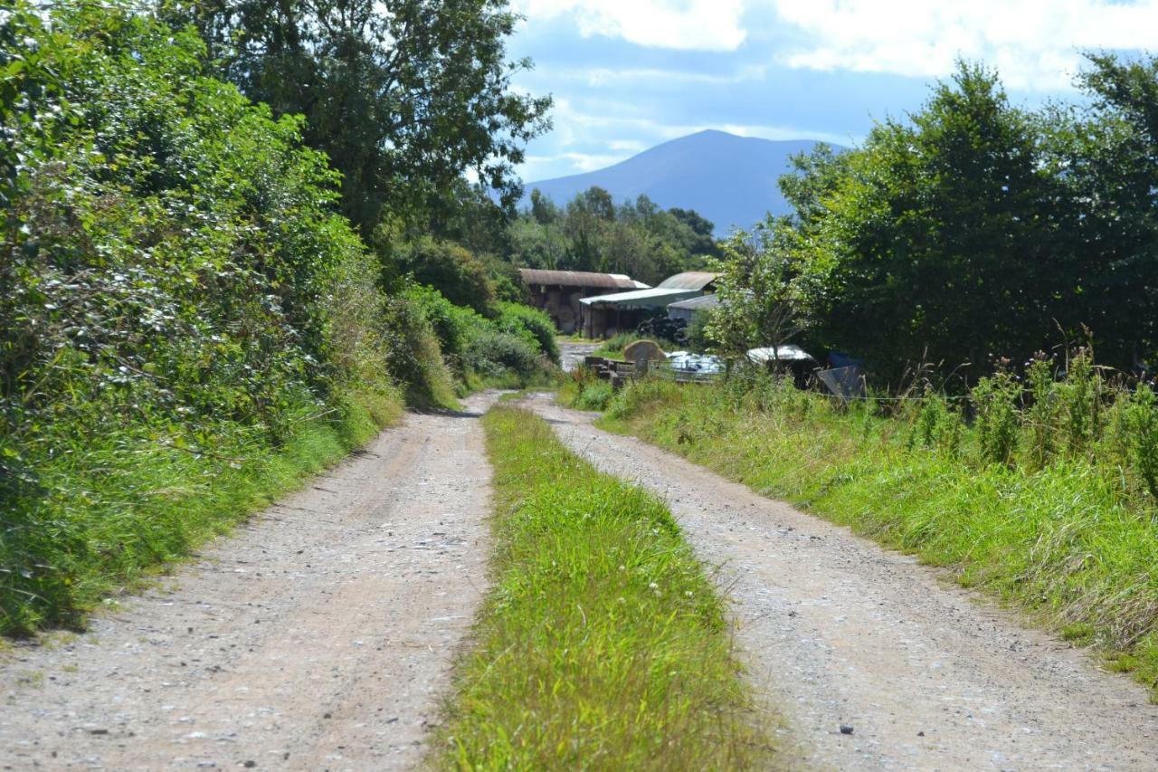 Annaswood B&B Cahir Kültér fotó