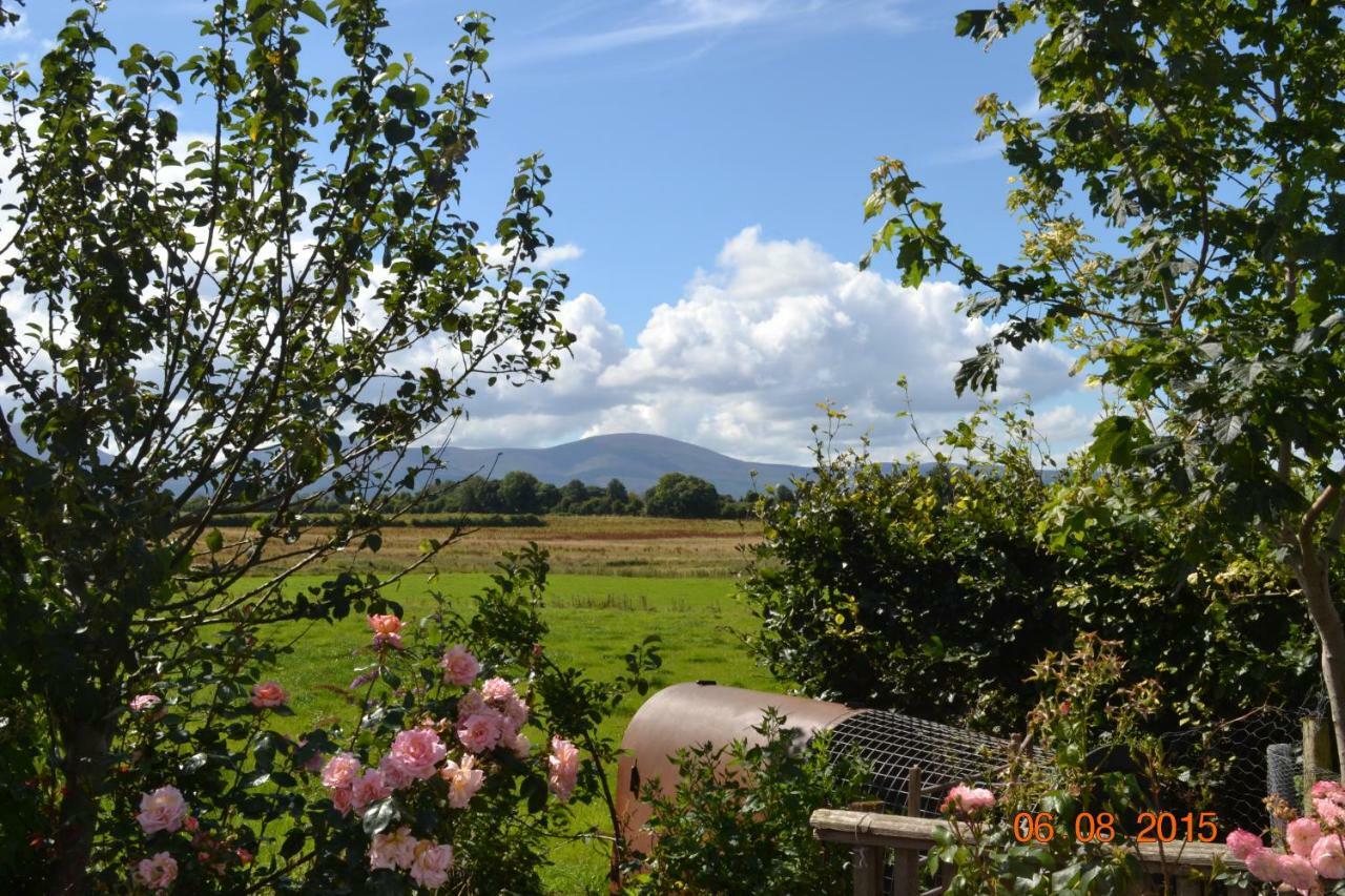 Annaswood B&B Cahir Kültér fotó