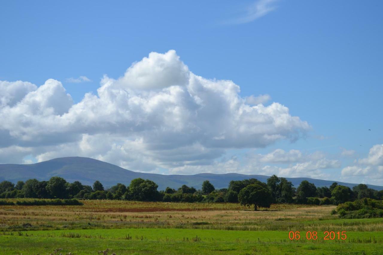 Annaswood B&B Cahir Kültér fotó