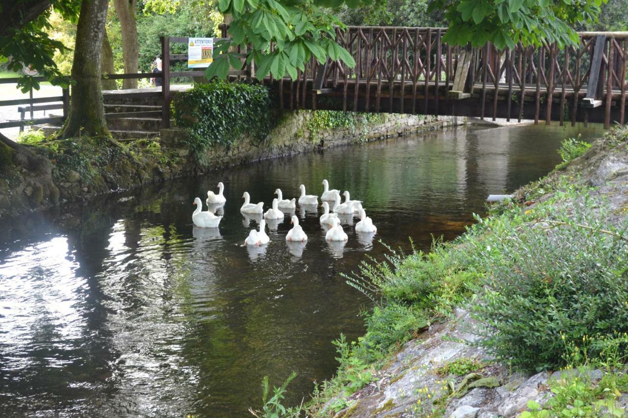 Annaswood B&B Cahir Kültér fotó