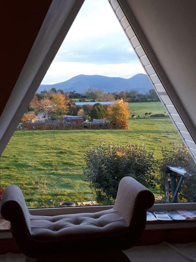 Annaswood B&B Cahir Kültér fotó