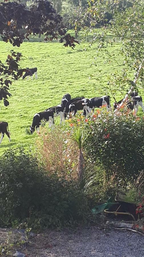 Annaswood B&B Cahir Kültér fotó